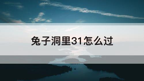 兔子洞里31怎么过