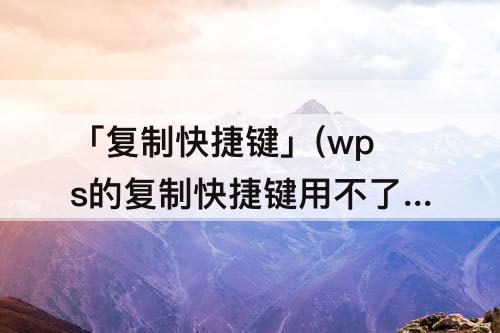 「复制快捷键」(wps的复制快捷键用不了)