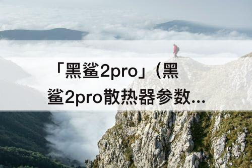 「黑鲨2pro」(黑鲨2pro散热器参数)