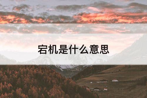 宕机是什么意思