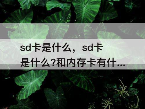 sd卡是什么，sd卡是什么?和内存卡有什么区别