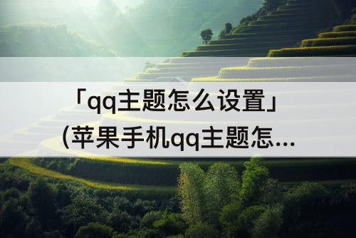 「qq主题怎么设置」(苹果手机qq主题怎么设置成白色)