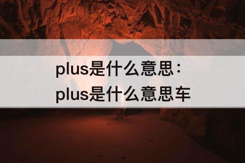 plus是什么意思：plus是什么意思车