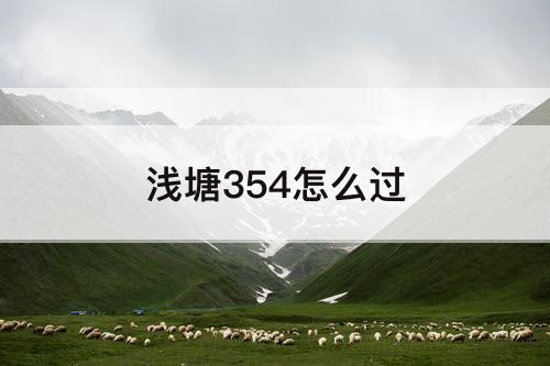 浅塘354怎么过