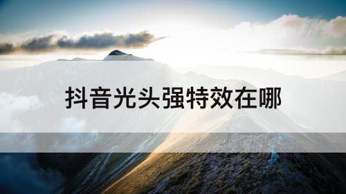 抖音光头强特效在哪