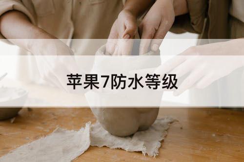 苹果7防水等级
