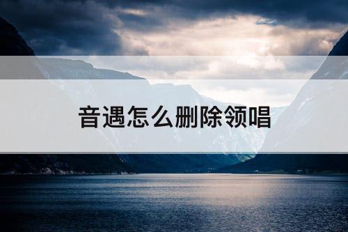 音遇怎么删除领唱