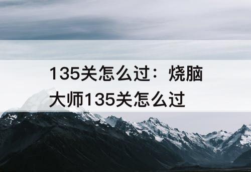 135关怎么过：烧脑大师135关怎么过