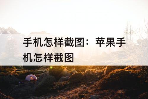 手机怎样截图：苹果手机怎样截图