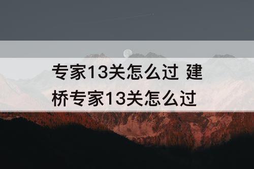 专家13关怎么过 建桥专家13关怎么过