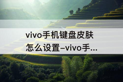 vivo手机键盘皮肤怎么设置-vivo手机键盘皮肤怎么设置没有s怎么办
