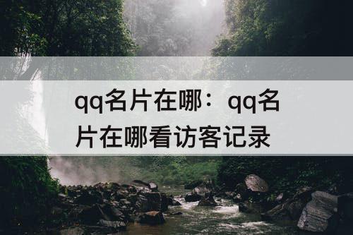 qq名片在哪：qq名片在哪看访客记录
