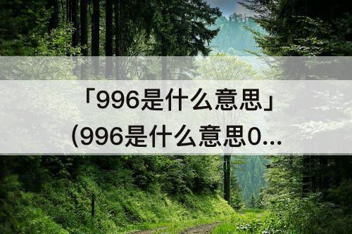 「996是什么意思」(996是什么意思0076)