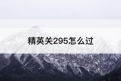 精英关295怎么过