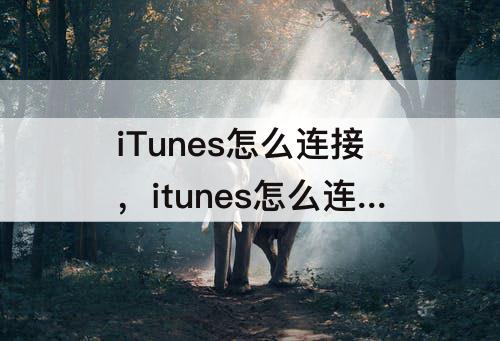 iTunes怎么连接，itunes怎么连接苹果手机传照片