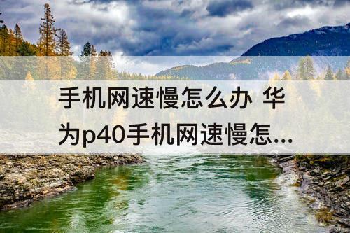 手机网速慢怎么办 华为p40手机网速慢怎么办怎么提速