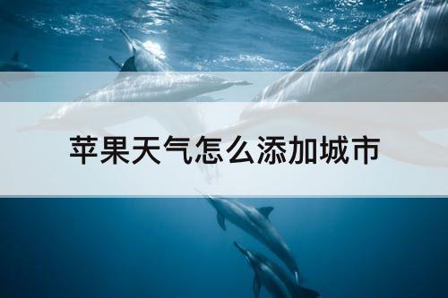 苹果天气怎么添加城市