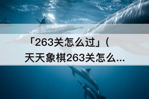 「263关怎么过」(天天象棋263关怎么过)