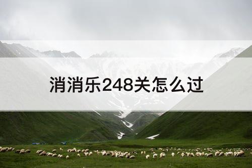 消消乐248关怎么过