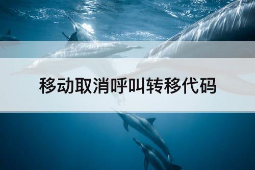 移动取消呼叫转移代码