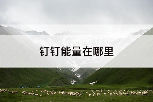 钉钉能量在哪里