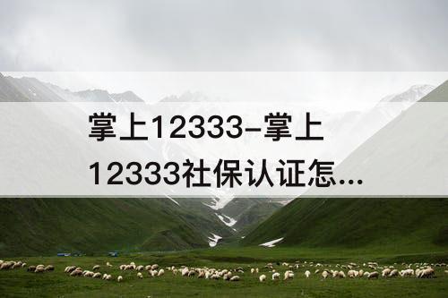掌上12333-掌上12333社保认证怎么操作
