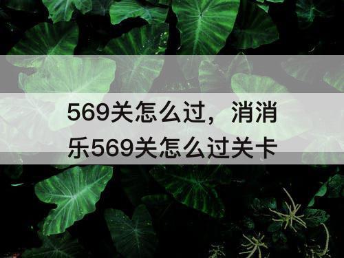 569关怎么过，消消乐569关怎么过关卡