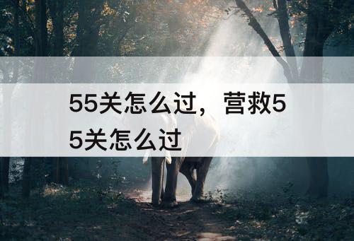 55关怎么过，营救55关怎么过