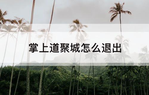 掌上道聚城怎么退出