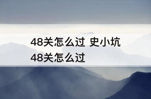 48关怎么过 史小坑48关怎么过