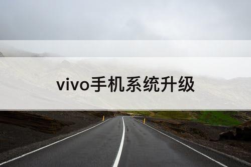 vivo手机系统升级