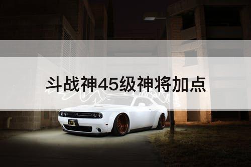 斗战神45级神将加点