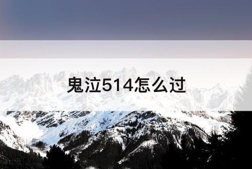 鬼泣514怎么过