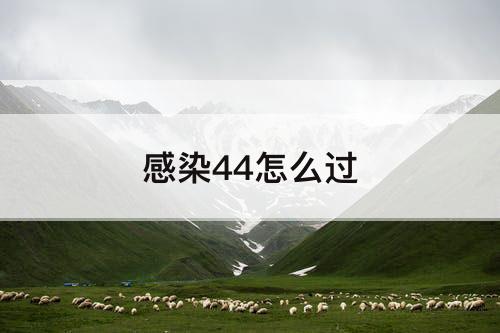 感染44怎么过