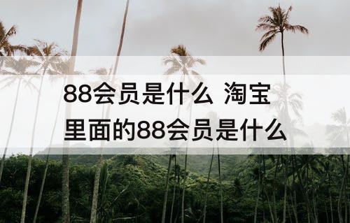 88会员是什么 淘宝里面的88会员是什么