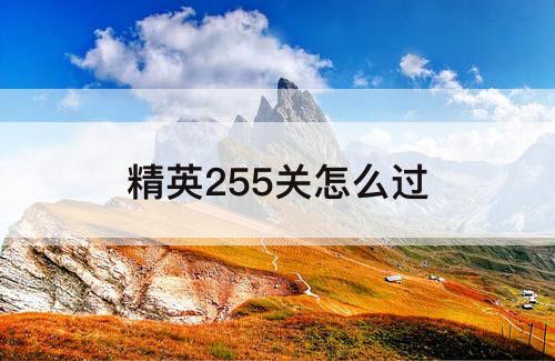 精英255关怎么过