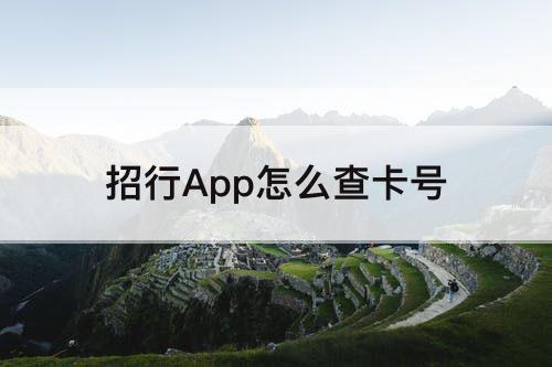 招行App怎么查卡号