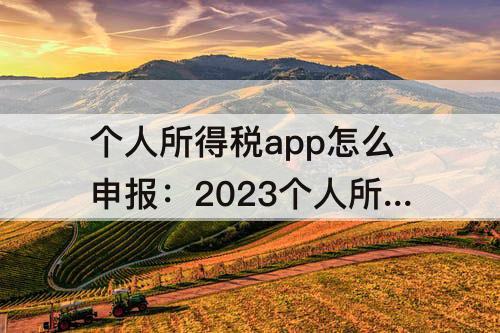 个人所得税app怎么申报：2023个人所得税app怎么申报退税