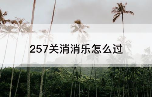 257关消消乐怎么过