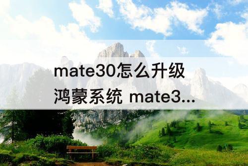 mate30怎么升级鸿蒙系统 mate30怎么升级鸿蒙系统的不足