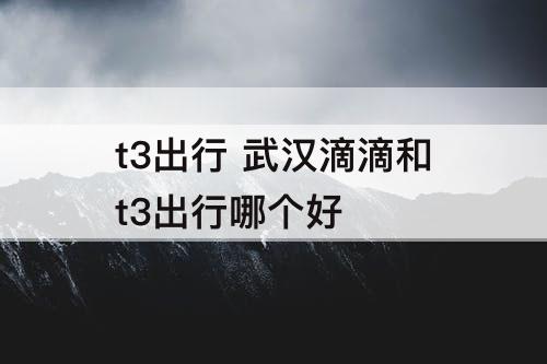 t3出行 武汉滴滴和t3出行哪个好