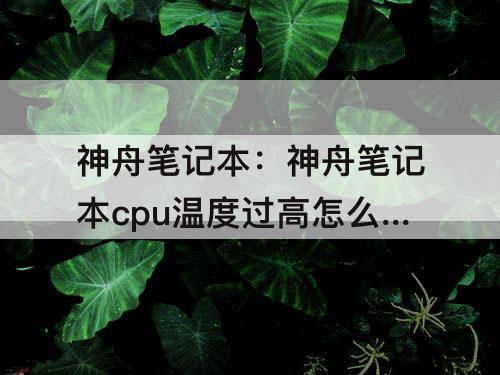 神舟笔记本：神舟笔记本cpu温度过高怎么办