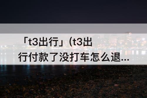 「t3出行」(t3出行付款了没打车怎么退)