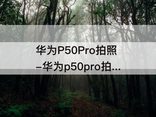华为P50Pro拍照-华为p50pro拍照和mate40pro拍照哪个好
