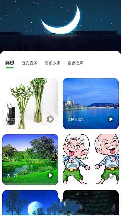 树懒睡眠