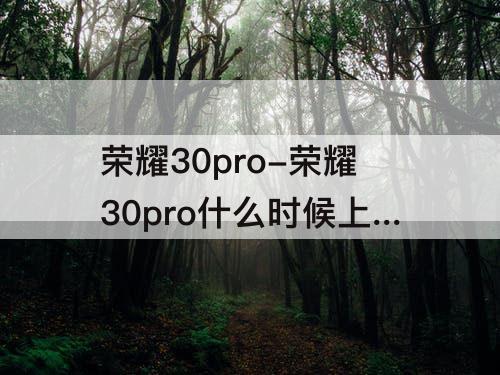 荣耀30pro-荣耀30pro什么时候上市