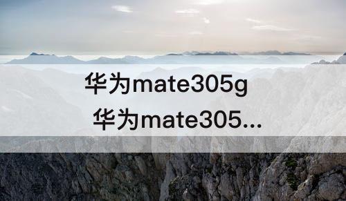 华为mate305g 华为mate305g手机参数版本