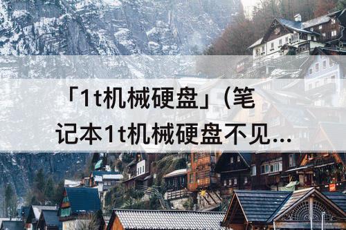 「1t机械硬盘」(笔记本1t机械硬盘不见了)