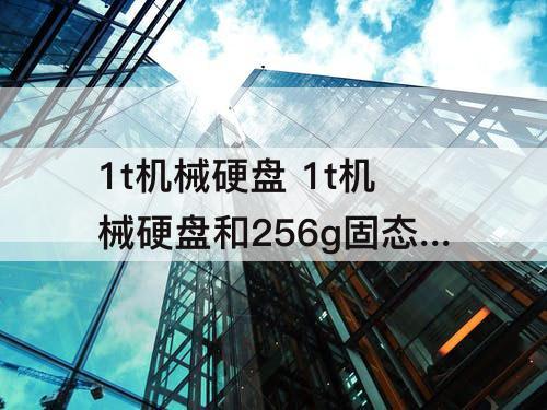 1t机械硬盘 1t机械硬盘和256g固态哪个好