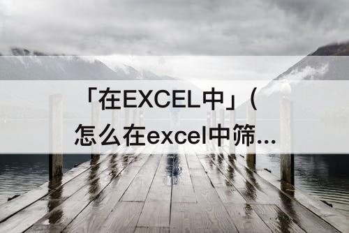「在EXCEL中」(怎么在excel中筛选出部分人)